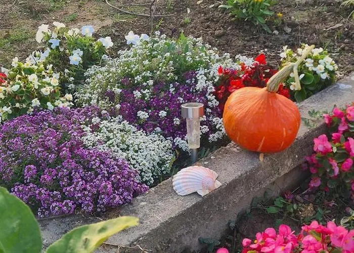 Joli T1 Bis Fonctionnel A