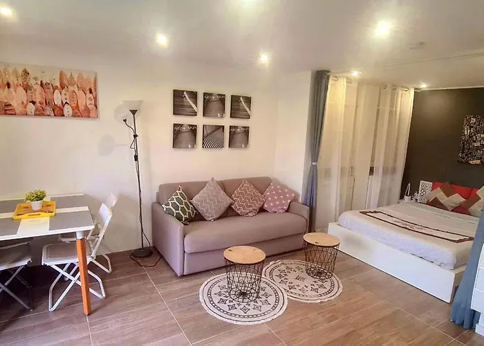 Joli T1 Bis Fonctionnel A Apartment Montussan